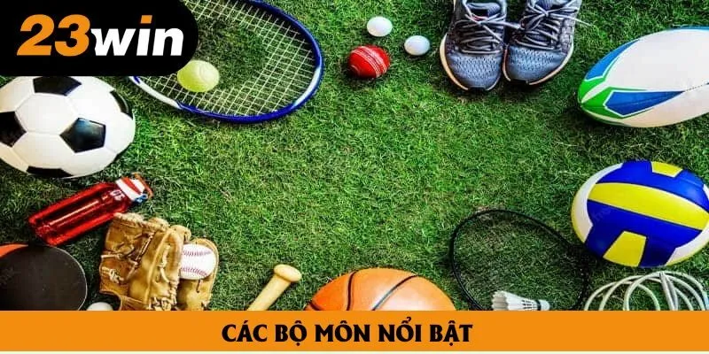 Các bộ môn nổi bật